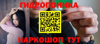 шишки Можга