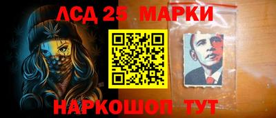 шишки Можга
