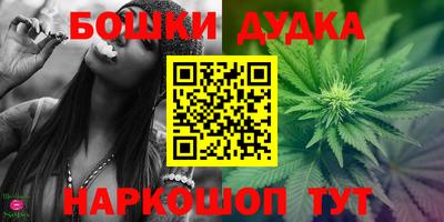 шишки Можга
