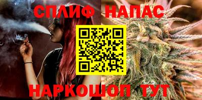 шишки Можга