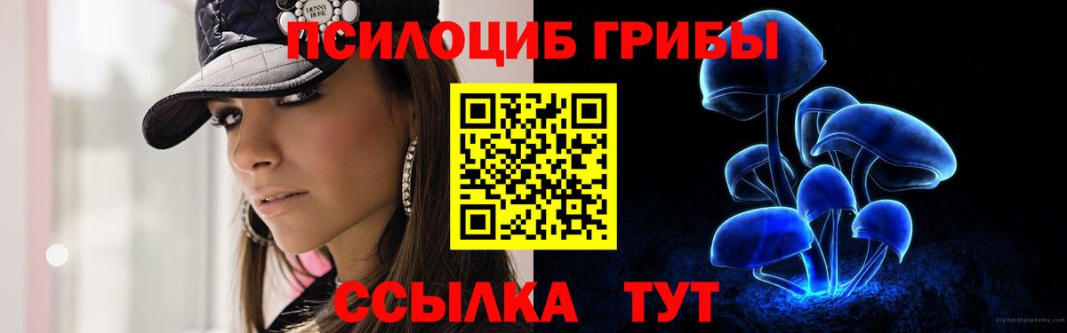 Александров  Галлюциногенные грибы мухоморы  Вход с VPN  Галлюциногенные грибы Psilocybe 